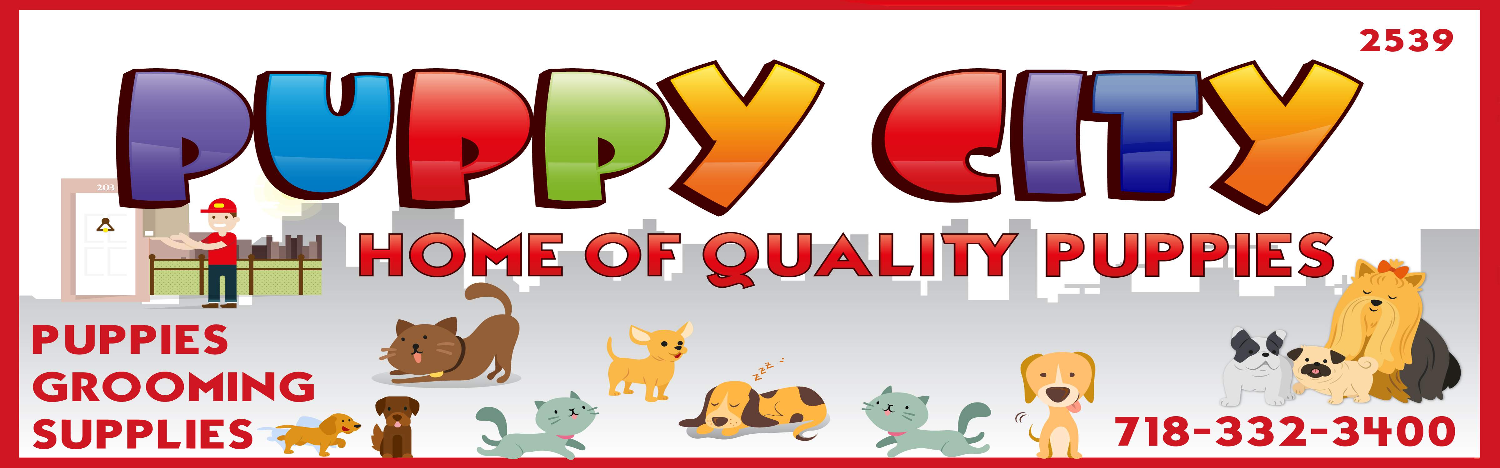 Puppy City Banner